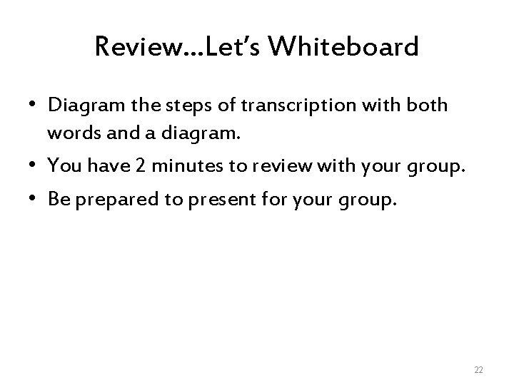 Review…Let’s Whiteboard • Diagram the steps of transcription with both words and a diagram.