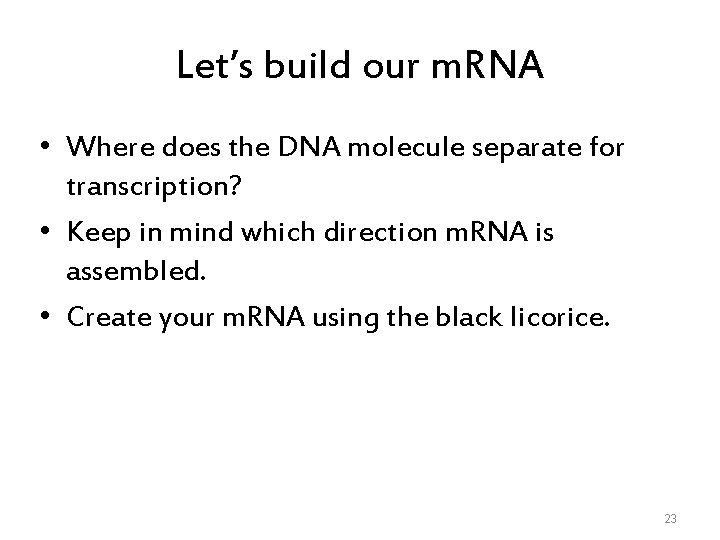 Let’s build our m. RNA • Where does the DNA molecule separate for transcription?
