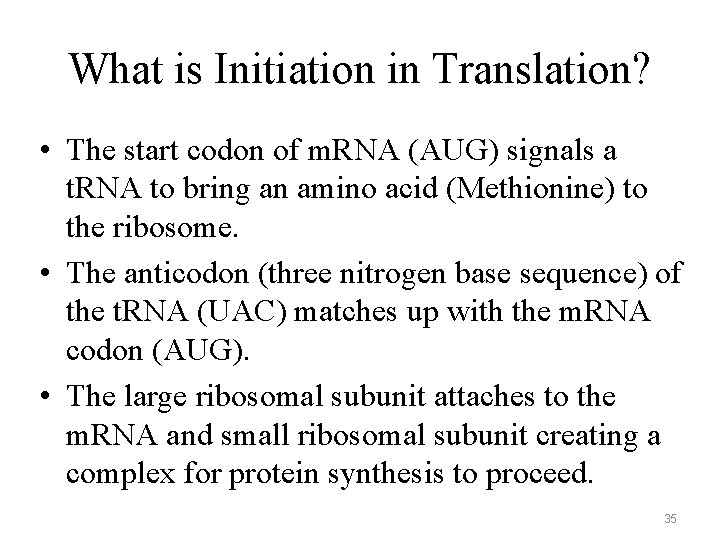 What is Initiation in Translation? • The start codon of m. RNA (AUG) signals