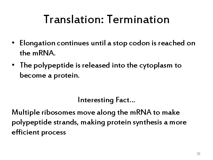 Translation: Termination • Elongation continues until a stop codon is reached on the m.