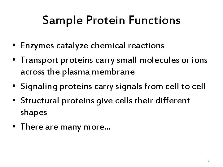 Sample Protein Functions • Enzymes catalyze chemical reactions • Transport proteins carry small molecules