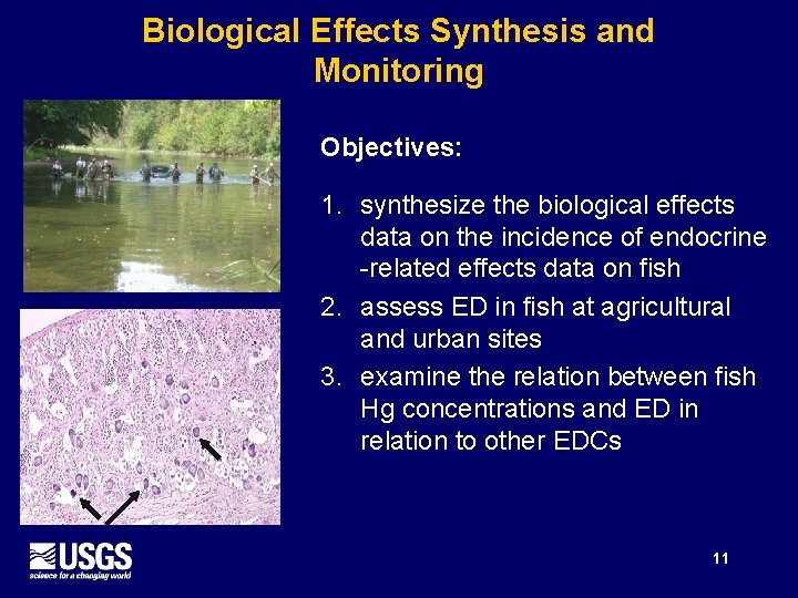 Biological Effects Synthesis and Monitoring Objectives: 1. synthesize the biological effects data on the