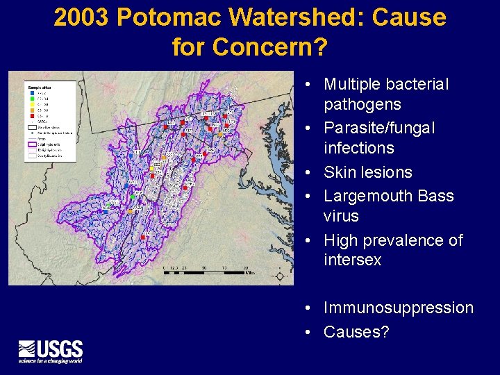 2003 Potomac Watershed: Cause for Concern? • Multiple bacterial pathogens • Parasite/fungal infections •