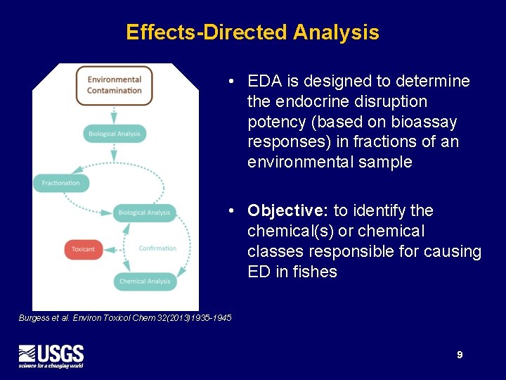 Effects-Directed Analysis • EDA is designed to determine the endocrine disruption potency (based on