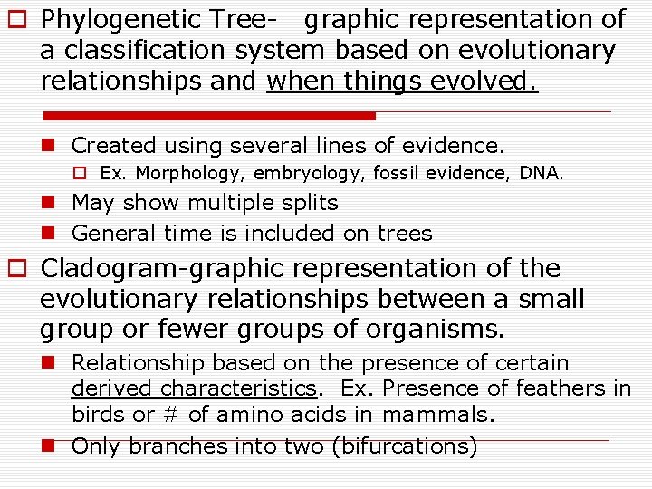 o Phylogenetic Tree- graphic representation of a classification system based on evolutionary relationships and