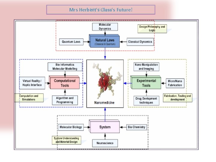 Mrs Herbert’s Our My Future Class’s Future! 