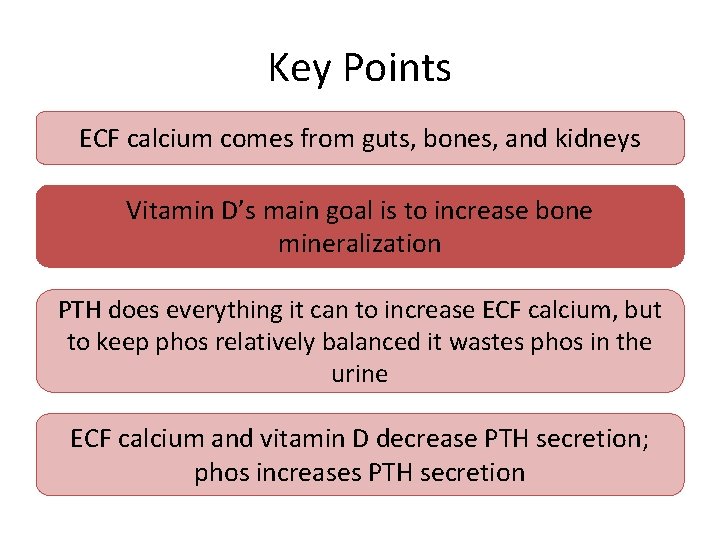 Key Points ECF calcium comes from guts, bones, and kidneys Vitamin D’s main goal