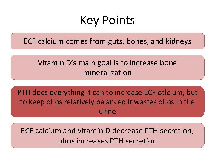 Key Points ECF calcium comes from guts, bones, and kidneys Vitamin D’s main goal