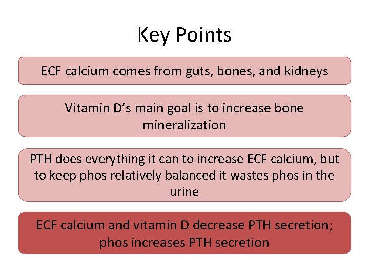 Key Points ECF calcium comes from guts, bones, and kidneys Vitamin D’s main goal