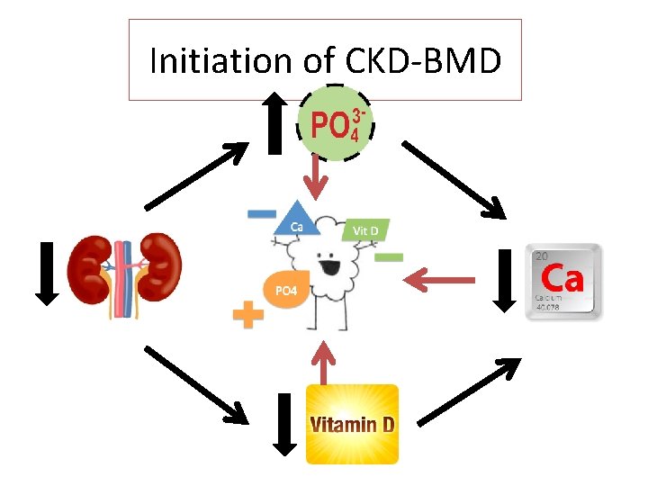 Initiation of CKD-BMD 