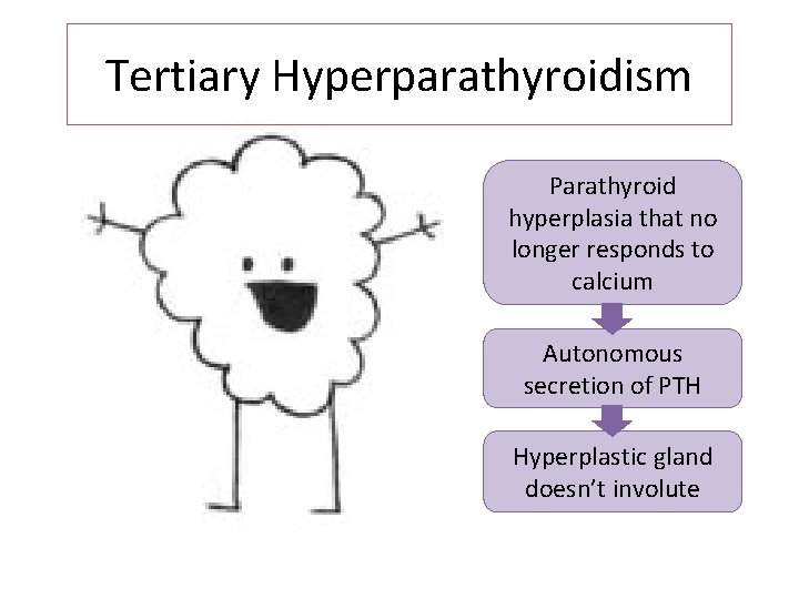 Tertiary Hyperparathyroidism Parathyroid hyperplasia that no longer responds to calcium Autonomous secretion of PTH