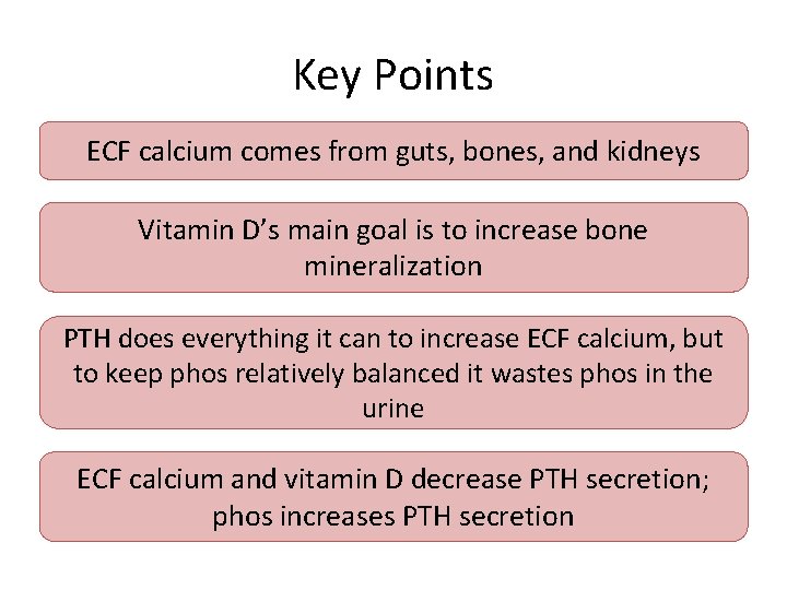 Key Points ECF calcium comes from guts, bones, and kidneys Vitamin D’s main goal