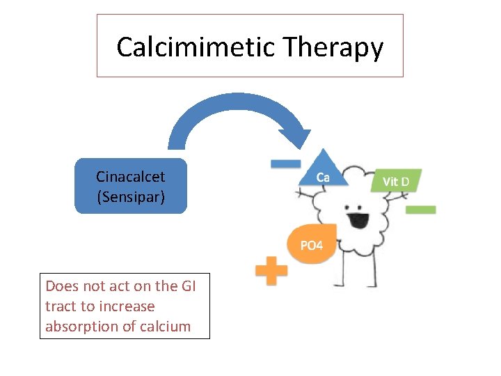 Calcimimetic Therapy Cinacalcet (Sensipar) Does not act on the GI tract to increase absorption