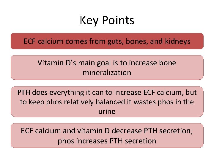 Key Points ECF calcium comes from guts, bones, and kidneys Vitamin D’s main goal
