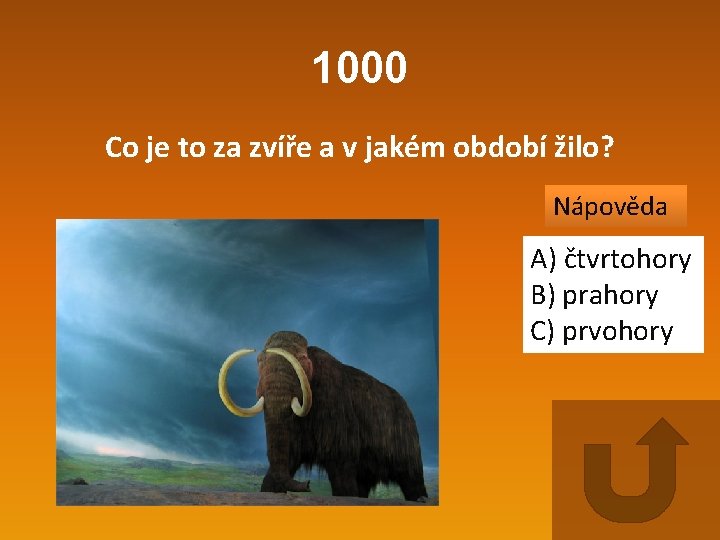 1000 Co je to za zvíře a v jakém období žilo? Nápověda A) čtvrtohory