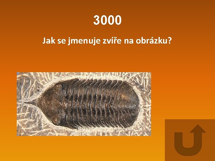 3000 Jak se jmenuje zvíře na obrázku? 