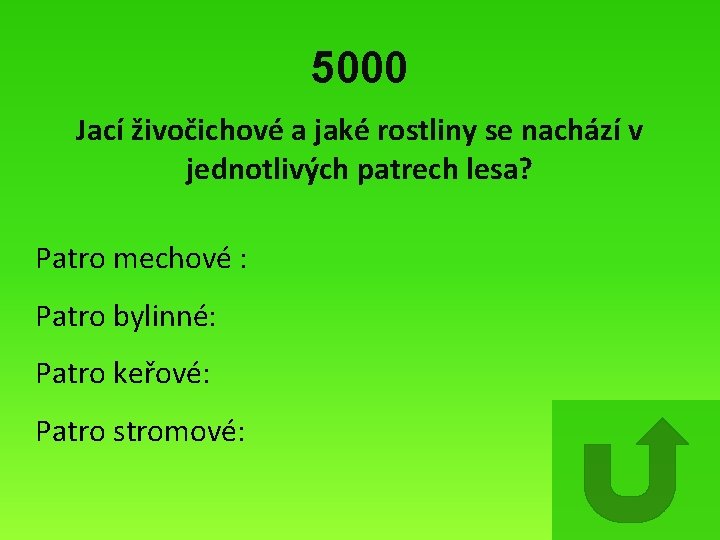 5000 Jací živočichové a jaké rostliny se nachází v jednotlivých patrech lesa? Patro mechové