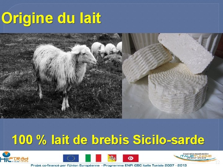 Origine du lait 100 % lait de brebis Sicilo-sarde 12 