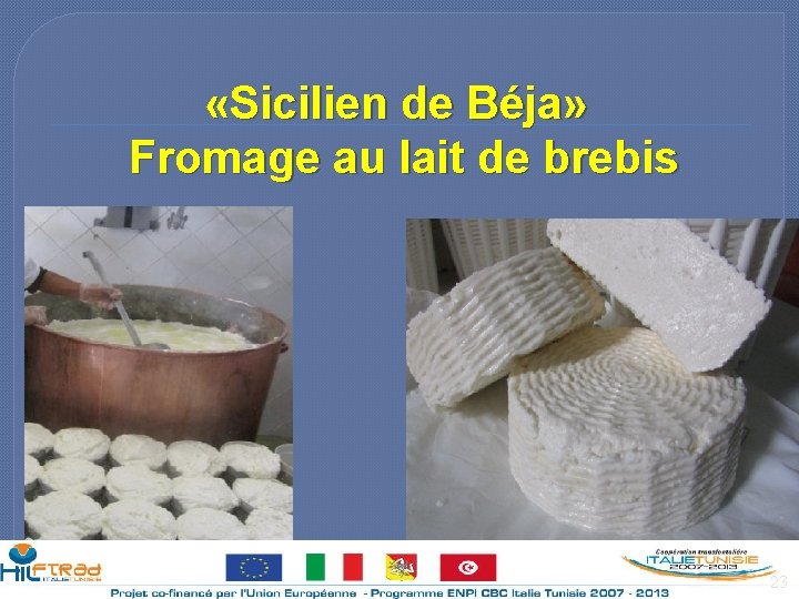  «Sicilien de Béja» Fromage au lait de brebis 23 