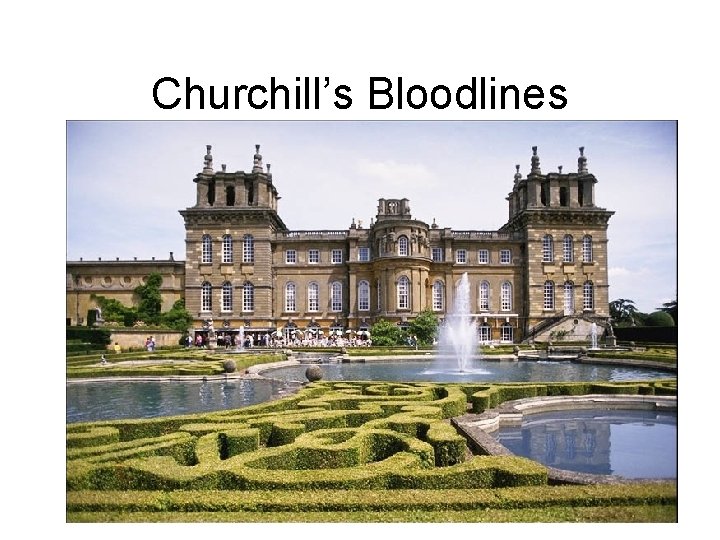 Churchill’s Bloodlines 