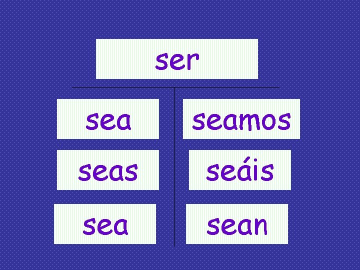 ser seamos seas seáis sean 