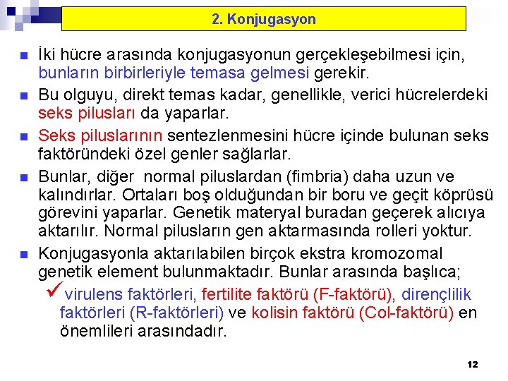 2. Konjugasyon n n İki hücre arasında konjugasyonun gerçekleşebilmesi için, bunların birbirleriyle temasa gelmesi