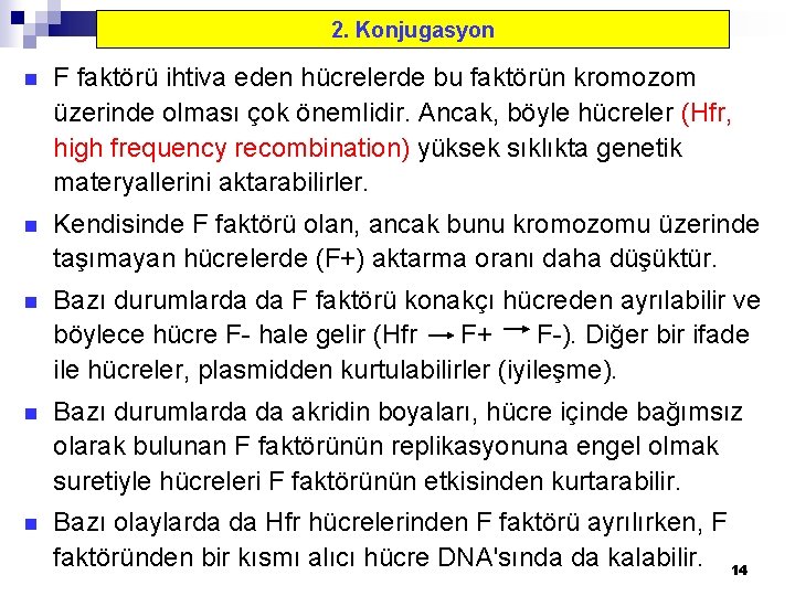 2. Konjugasyon n F faktörü ihtiva eden hücrelerde bu faktörün kromozom üzerinde olması çok