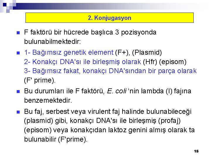 2. Konjugasyon n F faktörü bir hücrede başlıca 3 pozisyonda bulunabilmektedir: n 1 -