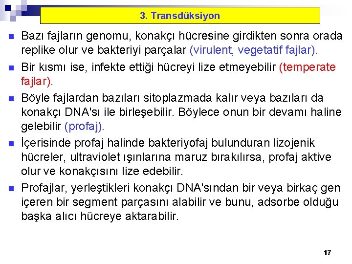 3. Transdüksiyon n n Bazı fajların genomu, konakçı hücresine girdikten sonra orada replike olur