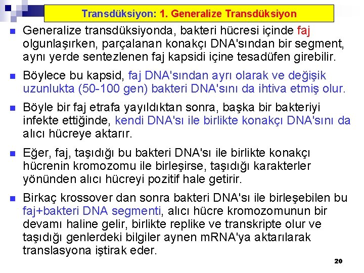 Transdüksiyon: 1. Generalize Transdüksiyon n Generalize transdüksiyonda, bakteri hücresi içinde faj olgunlaşırken, parçalanan konakçı