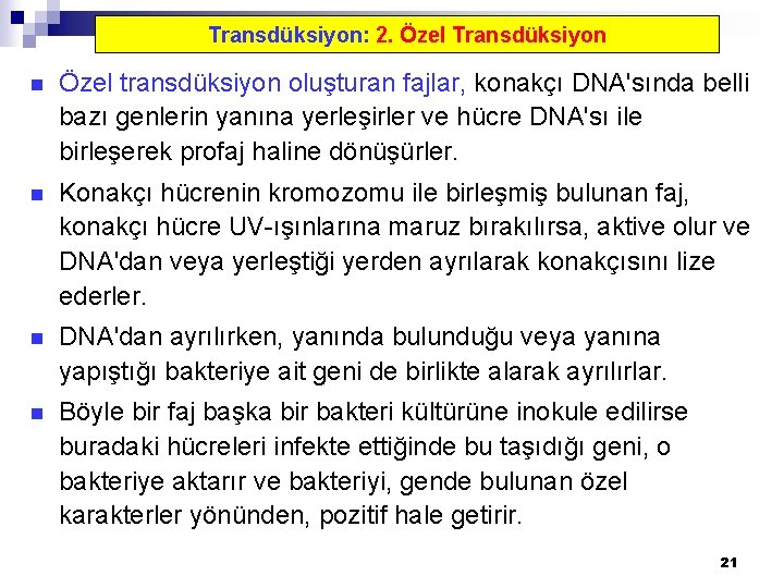 Transdüksiyon: 2. Özel Transdüksiyon n Özel transdüksiyon oluşturan fajlar, konakçı DNA'sında belli bazı genlerin