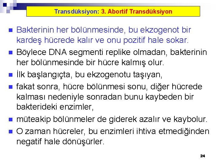 Transdüksiyon: 3. Abortif Transdüksiyon n n n Bakterinin her bölünmesinde, bu ekzogenot bir kardeş