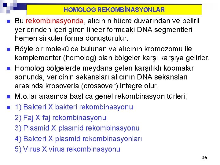 HOMOLOG REKOMBİNASYONLAR n n n Bu rekombinasyonda, alıcının hücre duvarından ve belirli yerlerinden içeri