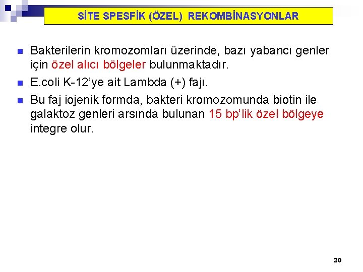 SİTE SPESFİK (ÖZEL) REKOMBİNASYONLAR n n n Bakterilerin kromozomları üzerinde, bazı yabancı genler için