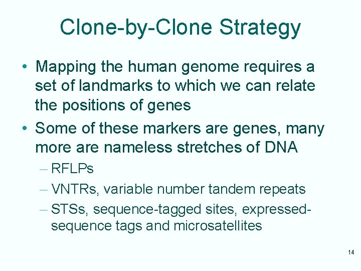 Clone-by-Clone Strategy • Mapping the human genome requires a set of landmarks to which