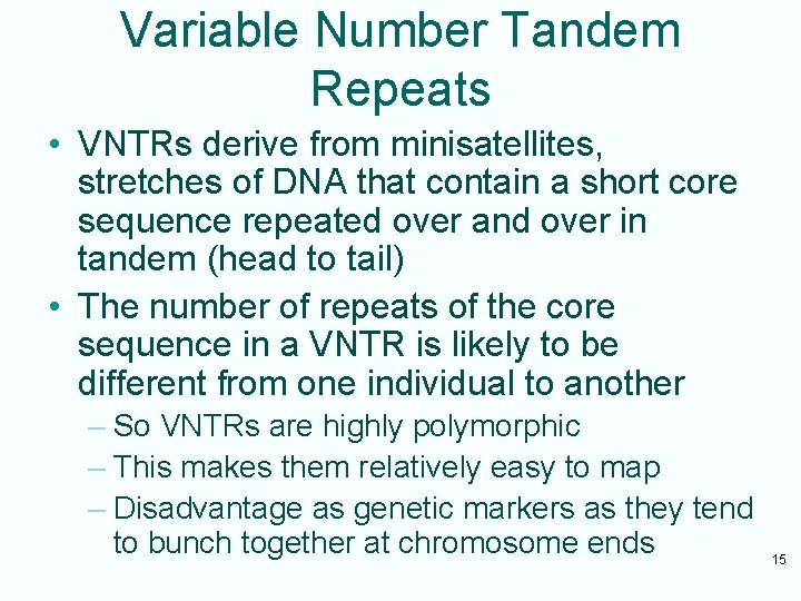Variable Number Tandem Repeats • VNTRs derive from minisatellites, stretches of DNA that contain