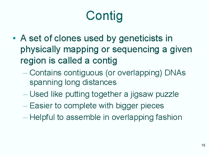 Contig • A set of clones used by geneticists in physically mapping or sequencing