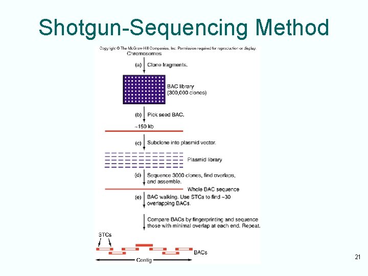 Shotgun-Sequencing Method 21 