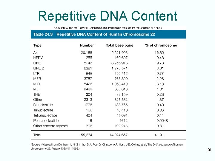 Repetitive DNA Content 28 