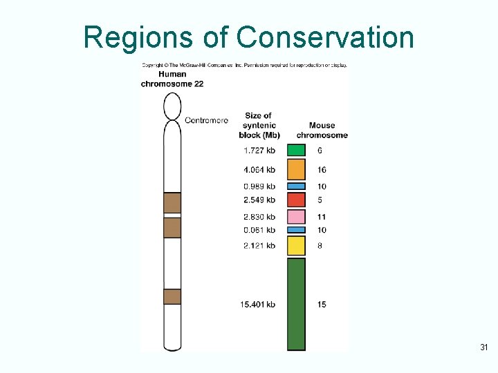 Regions of Conservation 31 