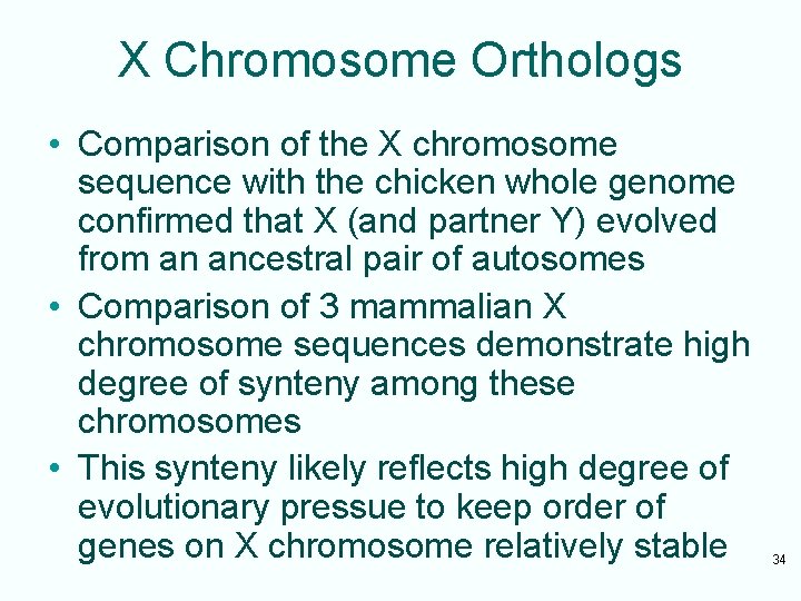 X Chromosome Orthologs • Comparison of the X chromosome sequence with the chicken whole