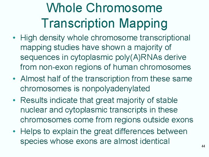 Whole Chromosome Transcription Mapping • High density whole chromosome transcriptional mapping studies have shown