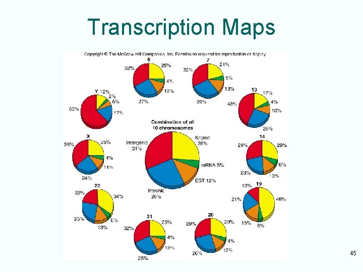 Transcription Maps 45 