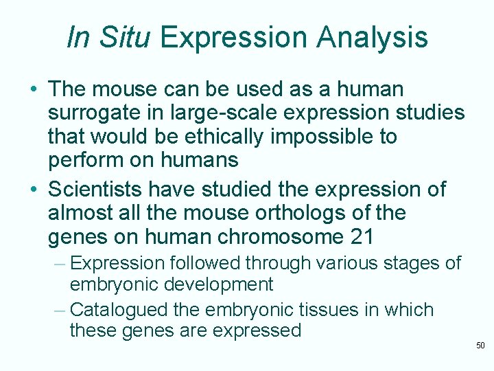 In Situ Expression Analysis • The mouse can be used as a human surrogate