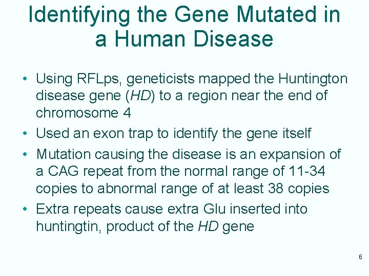 Identifying the Gene Mutated in a Human Disease • Using RFLps, geneticists mapped the