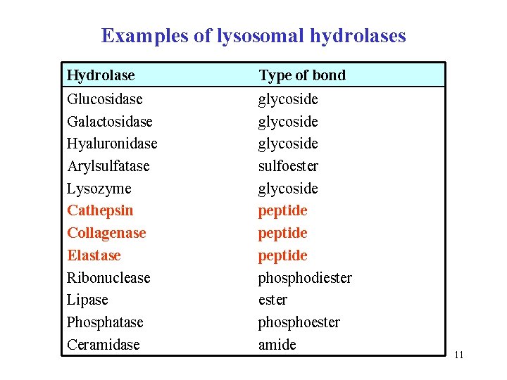 Examples of lysosomal hydrolases Hydrolase Type of bond Glucosidase Galactosidase Hyaluronidase Arylsulfatase Lysozyme Cathepsin