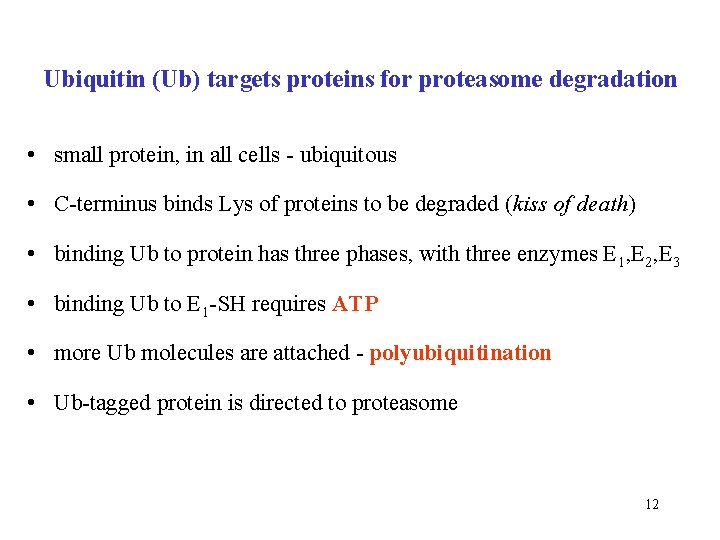 Ubiquitin (Ub) targets proteins for proteasome degradation • small protein, in all cells -