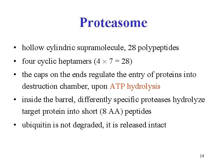 Proteasome • hollow cylindric supramolecule, 28 polypeptides • four cyclic heptamers (4 7 =