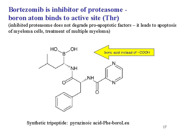 Bortezomib is inhibitor of proteasome boron atom binds to active site (Thr) (inhibited proteasome