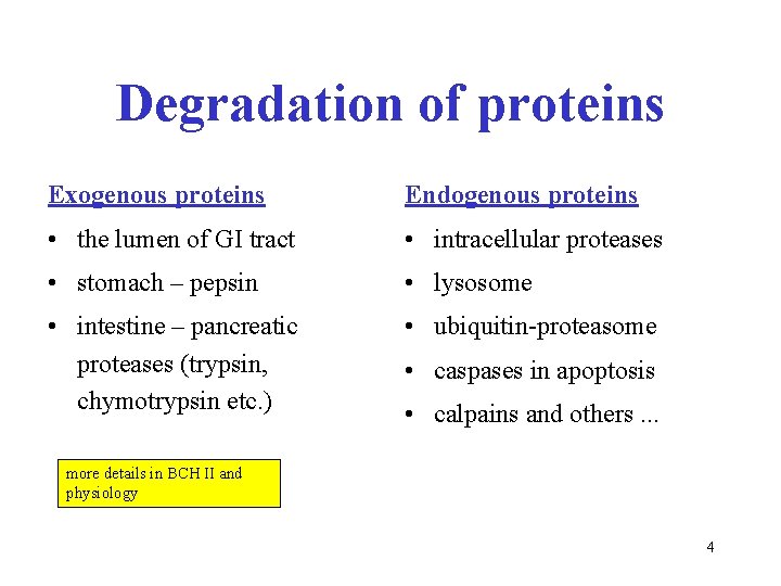 Degradation of proteins Exogenous proteins Endogenous proteins • the lumen of GI tract •